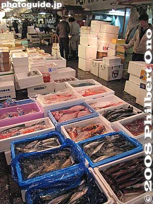 Keywords: tokyo chuo-ku tsukiji fish market Metropolitan Central Wholesale Market