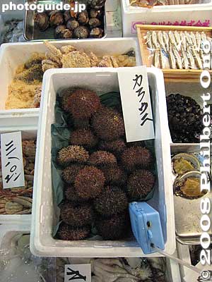 Sea urchins
Keywords: tokyo chuo-ku tsukiji fish market Metropolitan Central Wholesale Market