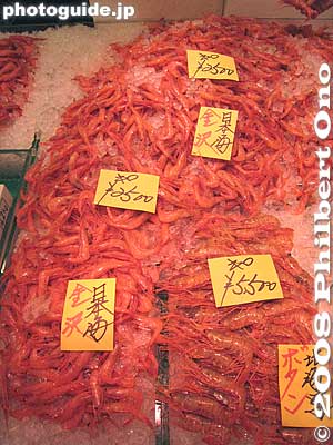 Shrimp
Keywords: tokyo chuo-ku tsukiji fish market Metropolitan Central Wholesale Market