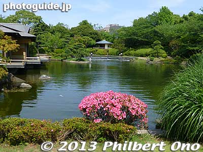 Pond at Heisei Garden. Genshinan (源心庵) Tea ceremony room on the left. Edogawa, Tokyo
Keywords: tokyo edogawa ward gyosen park heisei japanese japangarden azalea