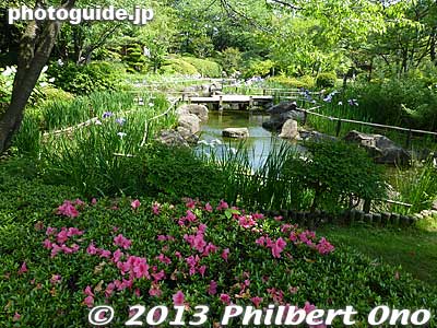 Keywords: tokyo edogawa ward gyosen park heisei japanese garden azalea