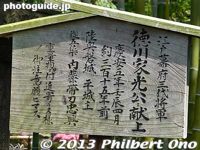 Stone lantern donated by Shogun Tokugawa Iemitsu
Keywords: tokyo edogawa ward gyosen park heisei japanese garden