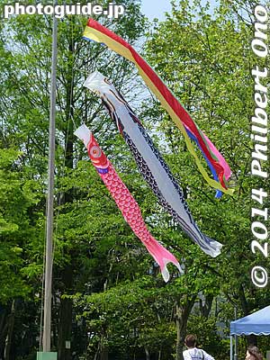 Koinobori carp streamers.
Keywords: tokyo edogawa ward gyosen park zoo
