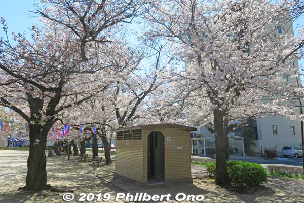 Keywords: tokyo edogawa ukita park sakura cherry blossoms