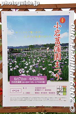 Poster for Koiwa Iris Garden Festival.
Keywords: tokyo edogawa-ku koiwa iris garden matsuri festival flowers 