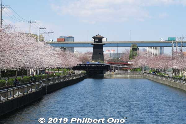 The west end of Shinkawa River emptying into Arakawa River has a Edo-style fire watchtower.
Keywords: tokyo edogawa-ku shinkawa shin river cherry blossoms sakura flowers