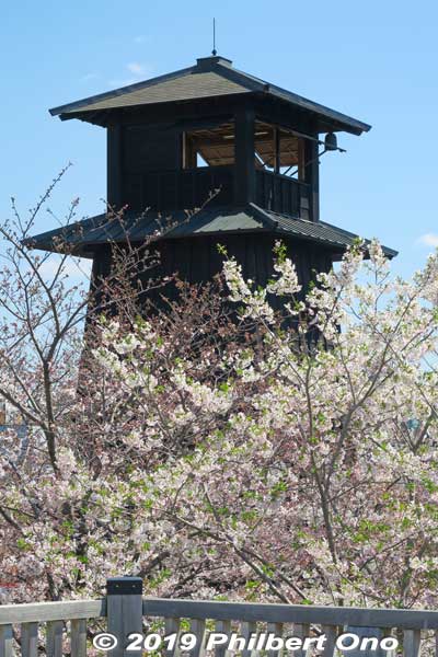 Fire Watchtower and cherry blossoms.
Keywords: tokyo edogawa-ku shinkawa shin river cherry blossoms sakura flowers