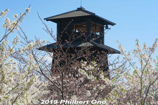 Fire Watchtower and cherry blossoms.
Keywords: tokyo edogawa-ku shinkawa shin river cherry blossoms sakura flowers