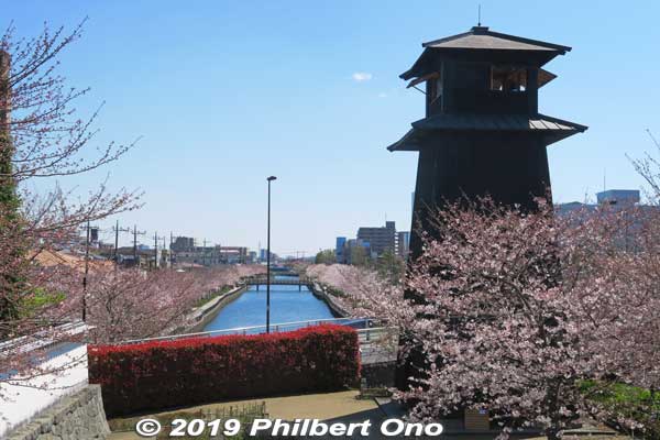 Traditional Japanese fire lookout tower and cherry blossoms. 火の見やぐら
Keywords: tokyo edogawa-ku shinkawa shin river cherry blossoms sakura flowers