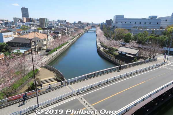 View of Shinkawa River from the Hinomi Yagura Fire Watchtower. 火の見やぐら
Keywords: tokyo edogawa-ku shinkawa shin river cherry blossoms sakura flowers