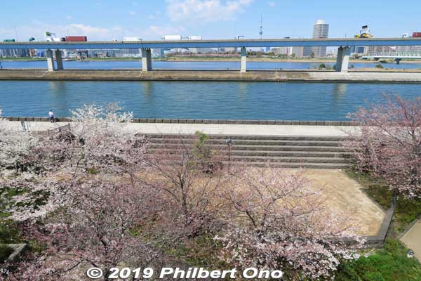 In the forefront is Naka River, and beyond the divider is Arakawa River as seen from the Fire Watchtower.
Keywords: tokyo edogawa-ku river cherry blossoms sakura flowers