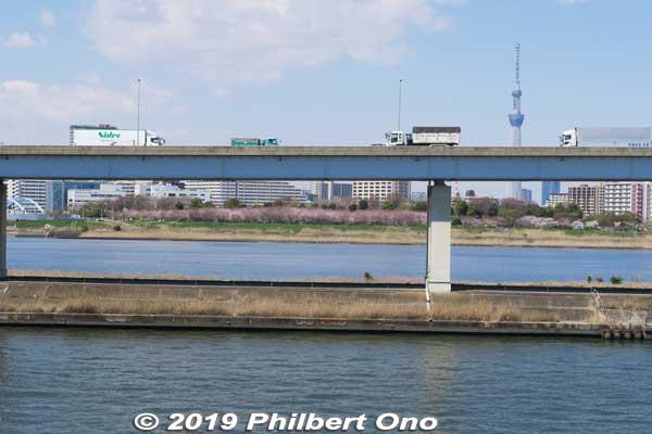 In the forefront is Naka River, and beyond the divider is Arakawa River as seen from the Fire Watchtower.
Keywords: tokyo edogawa-ku
