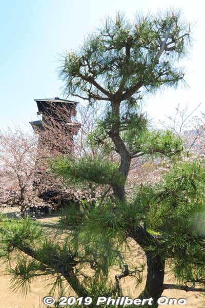 The area around the Fire Watchtower is like a park named Nishi-Suimon Hiroba (西水門広場).
Keywords: tokyo edogawa-ku shinkawa shin river