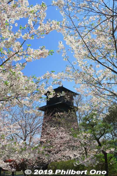 Fire Watchtower and sakura.
Keywords: tokyo edogawa-ku shinkawa shin river cherry blossoms sakura flowers