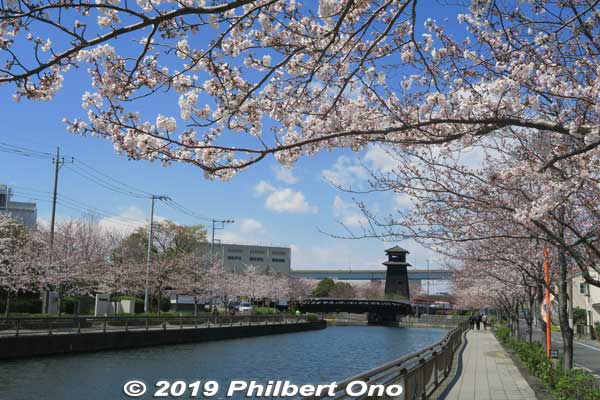 Going back along the river to the nearest subway station.
Keywords: tokyo edogawa-ku shinkawa shin river cherry blossoms sakura flowers