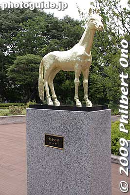 Horse statue
Keywords: tokyo fuchu race course horse racing 