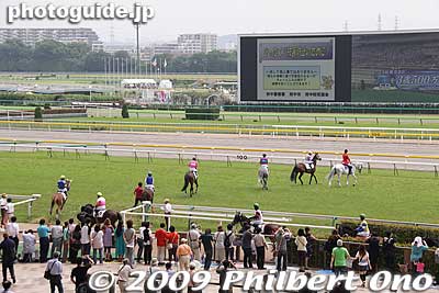 Now let's see how a race is conducted. After displaying the horses in the paddock, they appear on the race course.
Keywords: tokyo fuchu race course horse racing 