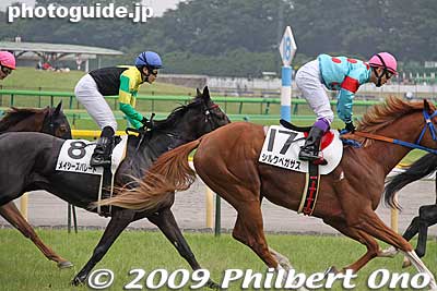 See how the jockeys try to float above the horse. They don't sit on the horse at all. 
Keywords: tokyo fuchu race course horse racing 