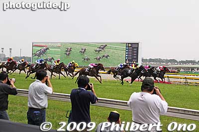 Press photographers
Keywords: tokyo fuchu race course horse racing 