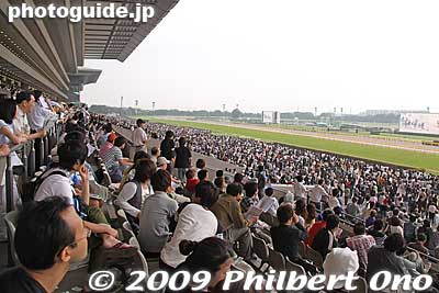 From the Fuji View Stand. These are the free seats. 
Keywords: tokyo fuchu race course horse racing 