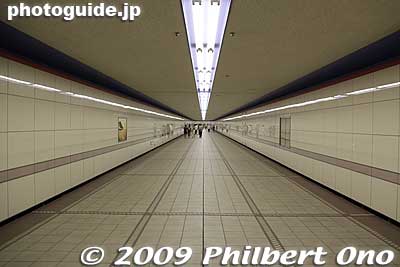 One tunnel that goes to the inside of the racecourse track.
Keywords: tokyo fuchu race course horse racing 