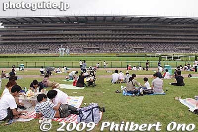 Lawn inside the track oval.
Keywords: tokyo fuchu race course horse racing 