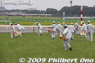 After each race, these people scour the entire course and pick up trash and patch holes with dirt.
Keywords: tokyo fuchu race course horse racing 