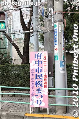 Keywords: tokyo fuchu Sakura-dori road cherry blossoms matsuri