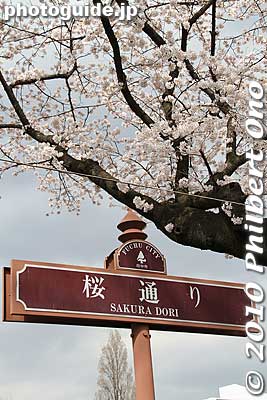 Sakura-dori road with cherry blossoms.
Keywords: tokyo fuchu Sakura-dori road cherry blossoms matsuri