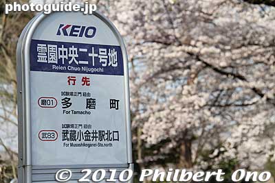 Bus stop for JR Musashi-Koganei Station.
Keywords: tokyo fuchu tama cemetery graves cherry blossoms sakura