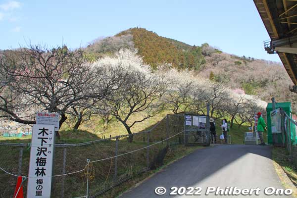 Gate to Kogesawa Bairin. All the plum groves have free admission. Kogesawa Bairin is open to the public only when the flowers are on bloom. Otherwise, it's closed to the public (surrounded by a fence).
Keywords: tokyo hachioji takao baigo ume plum blossoms flowers
