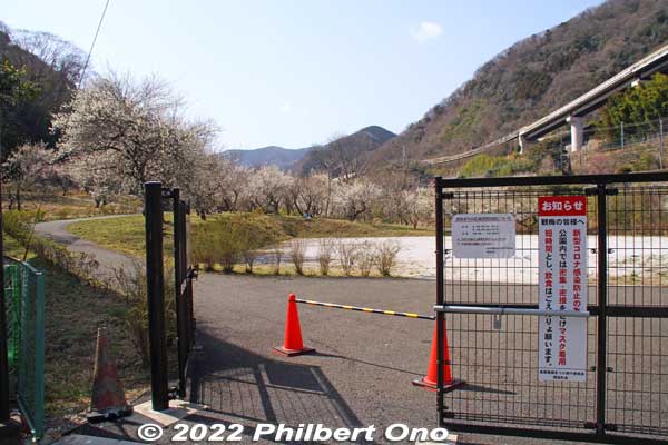 Surusashi Bairin (するさし梅林) is also gated and open to the public only when the flowers are in bloom.
Keywords: tokyo hachioji takao baigo ume plum blossoms flowers