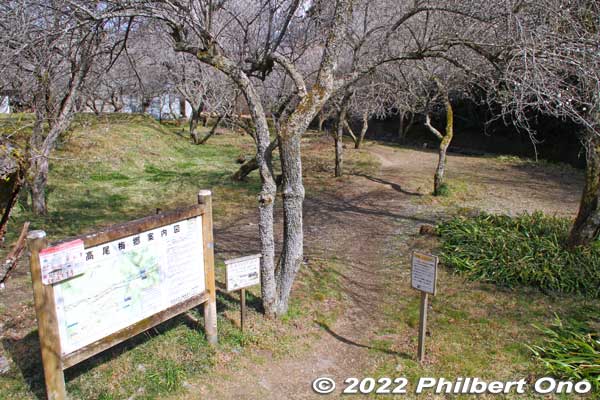 Riverside path.
Keywords: tokyo hachioji takao baigo ume plum blossoms flowers