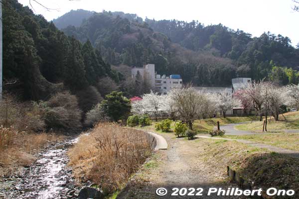 A grove named Takao Ume-no-Sato Machi-no-Hiroba. 
Keywords: tokyo hachioji takao baigo ume plum blossoms flowers