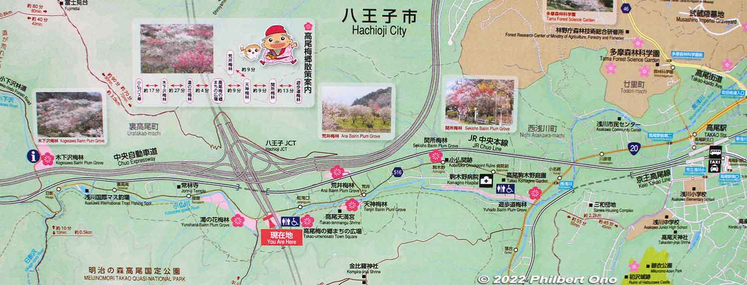 Map of Takao Baigo.
Keywords: tokyo hachioji takao baigo ume plum blossoms flowers