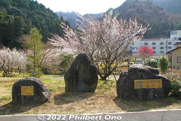 Takao Baigo stone monument at Takao Ume-no-Sato Machi-no-Hiroba.
Keywords: tokyo hachioji takao baigo ume plum blossoms flowers