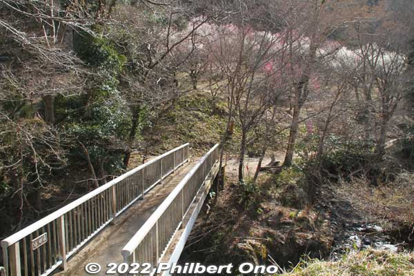 Bridge to Tenjin Bairin from the road.
Keywords: tokyo hachioji takao baigo ume plum blossoms flowers