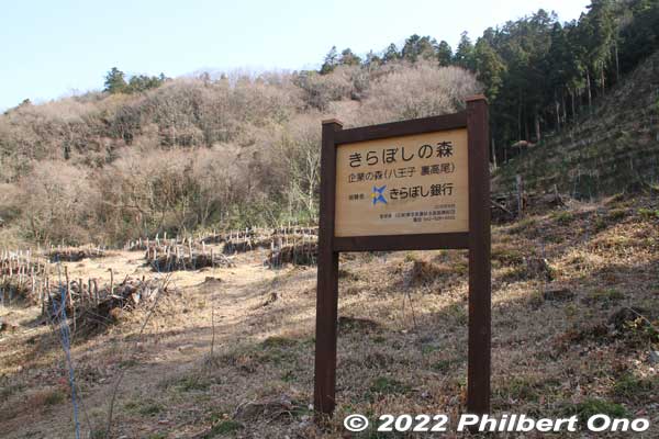 Next to Tenjin Bairin is this reforestation area.
Keywords: tokyo hachioji takao baigo ume plum blossoms flowers