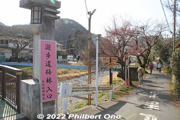 Entrance to the walking path to see Yuhodo Bairin (遊歩道梅林). From Takao Station, it's a 15-min. walk to here.
The path goes along the river and you can walk all the way to Kogesawa Bairin on the far end, about 5 km away. It would take about 90 min. one way. Then take the bus back to Takao Station.
Keywords: tokyo hachioji takao baigo ume plum blossoms flowers