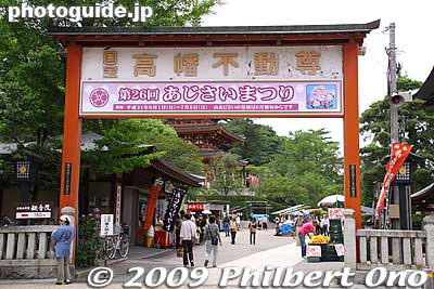 Side gate to Takahata Fudoson temple. Welcome signfor the Ajisai Matsuri.
Keywords: tokyo hino takahata fudoson temple ajisai matsuri festival hydrangea flowers 