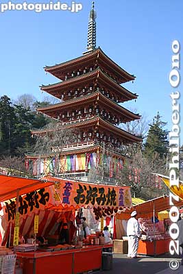Five-story Pagoda 五重塔
Keywords: tokyo hino takahata fudoson kongoji buddhist temple pagoda