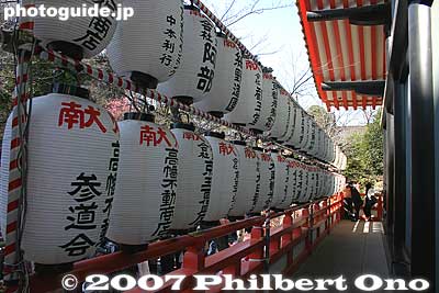 Paper lanterns 奥殿
Keywords: tokyo hino takahata fudoson kongoji buddhist temple paper lantern chochin