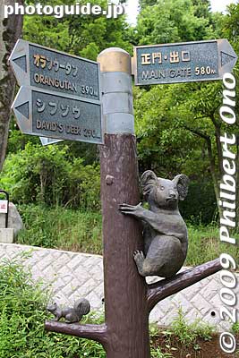 Signs
Keywords: tokyo hino tama zoo animals 