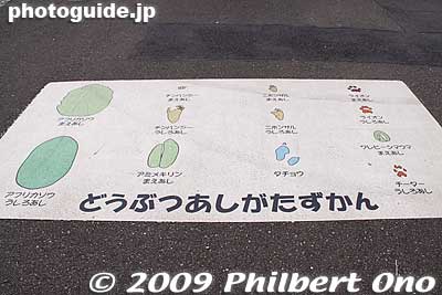 Animal footprints
Keywords: tokyo hino tama zoo animals 