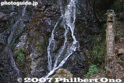 Shiraiwa Waterfall. 白岩の滝
Keywords: tokyo hinode-machi town hinodemachi hinodeyama hinode-yama mt. mountain hiking forest trees
