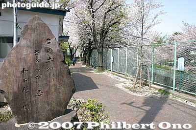 Entrance to one walking path with a poem monument.
Keywords: tokyo itabashi-ku ward shakujii river cherry blossoms flowers river trees