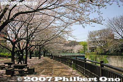 Little park
Keywords: tokyo itabashi-ku ward shakujii river cherry blossoms flowers river trees