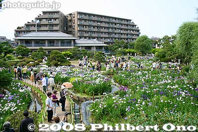 View from the top of the hill.
Keywords: tokyo katsushika ward horikiri iris garden flowers shobuen
