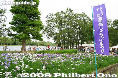 Keywords: tokyo katsushika-ku mizumoto park iris garden flowers matsuri festival shobu