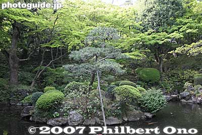 次郎弁天の池
Keywords: tokyo kokubunji tonogayato teien garden pine tree pond